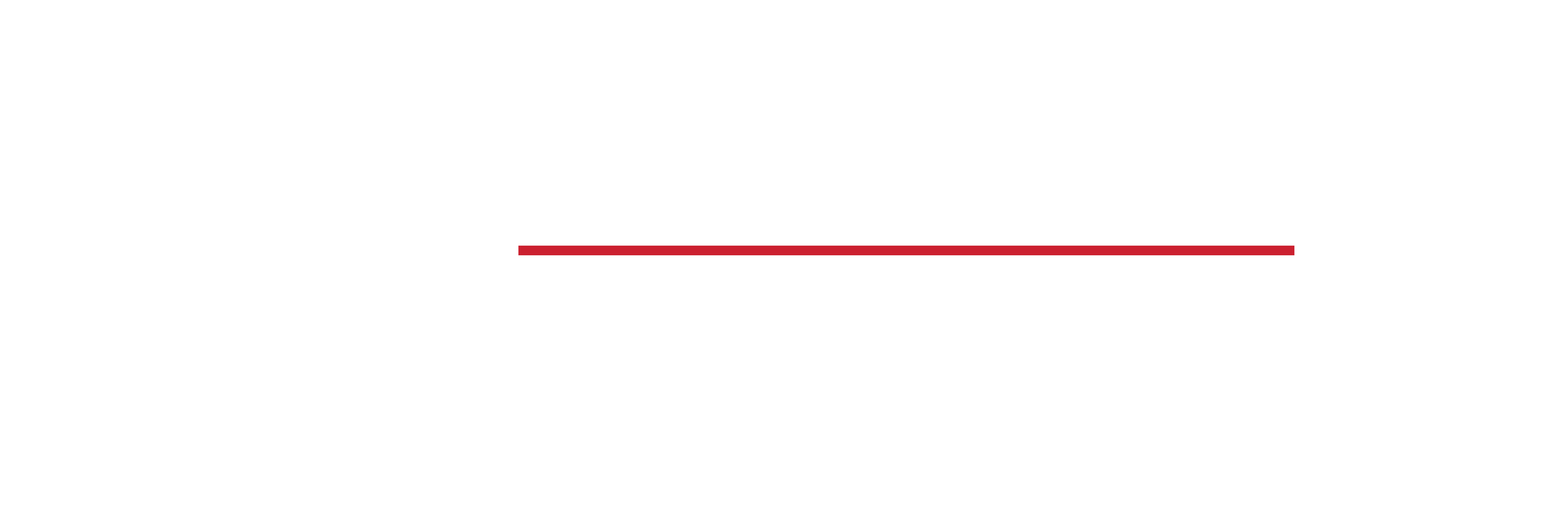 Company Name